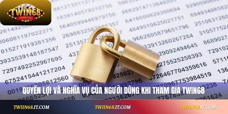 Quyền lợi và nghĩa vụ của người dùng khi tham gia Twin68