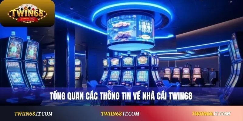 Tổng quan các thông tin về nhà cái Twin68